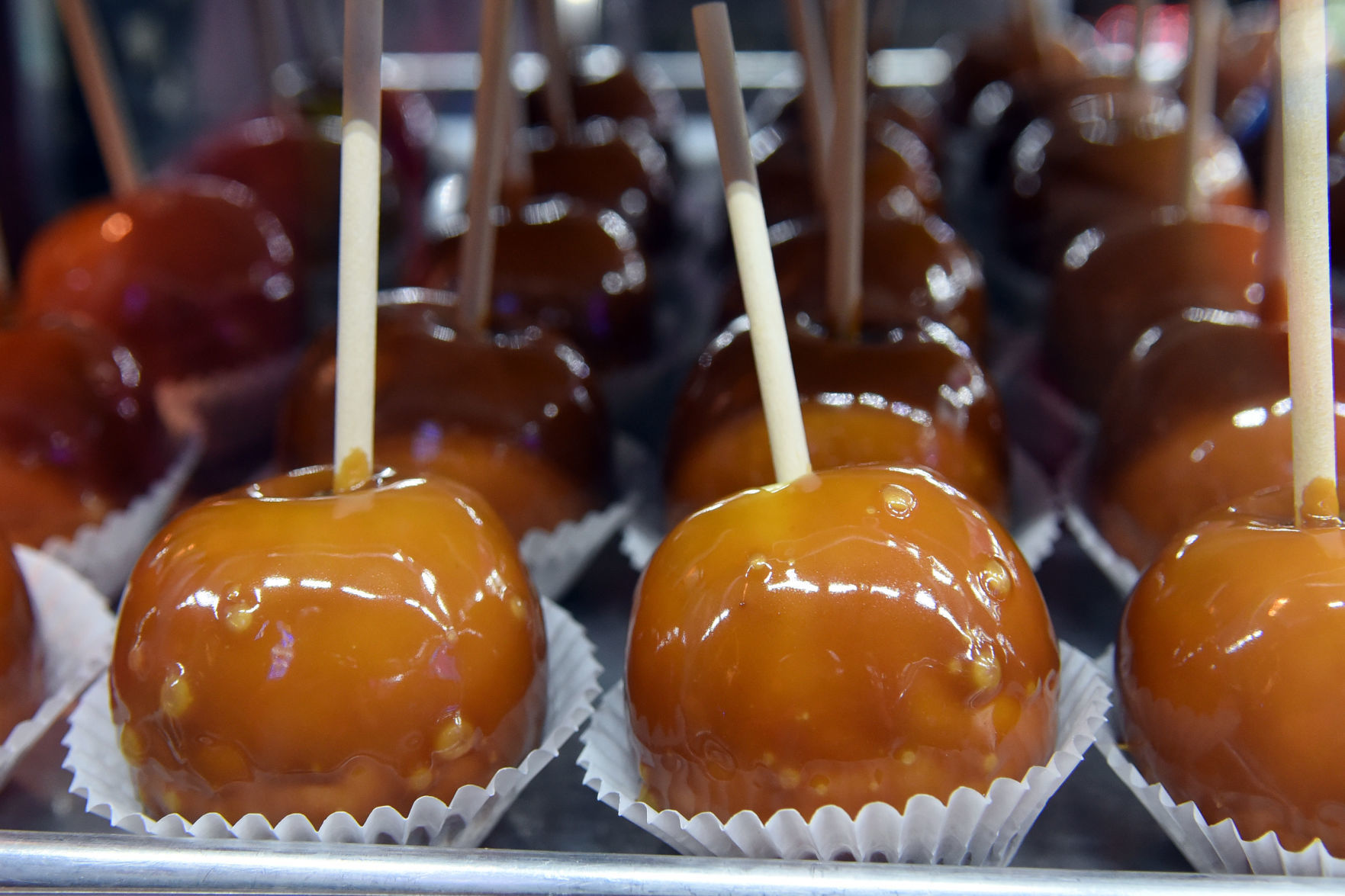 State Fair Midway 10.JPG